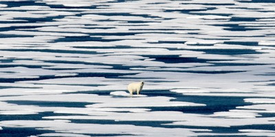 Climate Crisis
