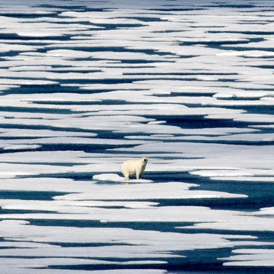 Climate Crisis