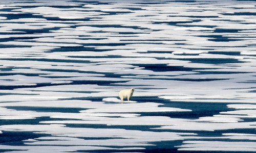 Climate Crisis