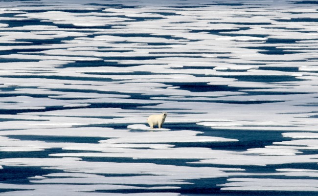 Climate Crisis
