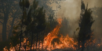 Stop Blaming the Climate for Wildfires We Can Prevent