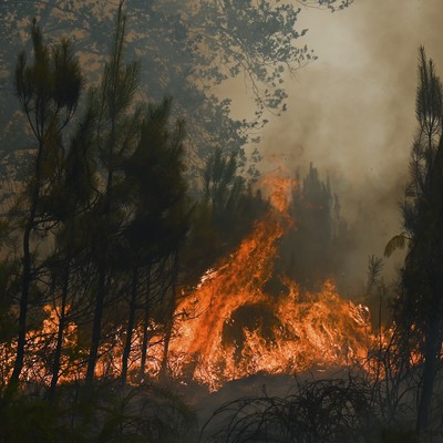 Stop Blaming the Climate for Wildfires We Can Prevent