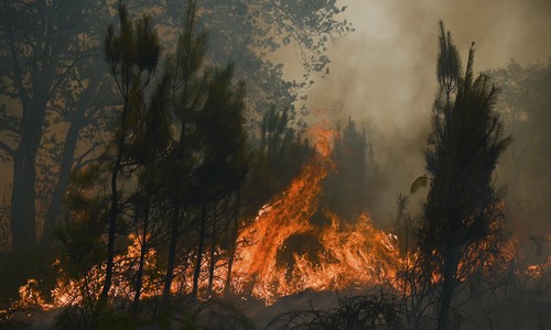 Stop Blaming the Climate for Wildfires We Can Prevent