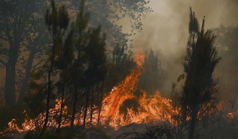 The Guy Arrested for the Spokane Fire Has Been Investigated Before for ... Aw, You Guessed It