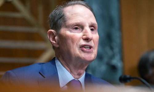Socialism Already Grips the Democratic Party