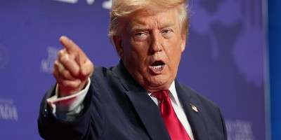 Oh, Please, Do We Really Believe Dems Will Do This If They Retake House