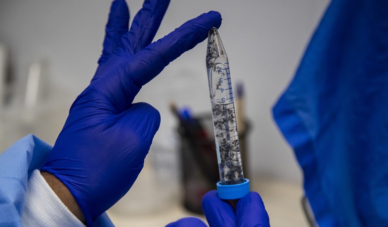 Mysterious Death of Russian Lab Tech Points to Potential Plague Exposure