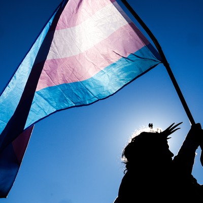 Latest Study Obliterates Narrative a Key Narrative About Transgenders and Victims of Violence 