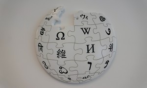 The DSA Civil War Being Fought on Wikipedia