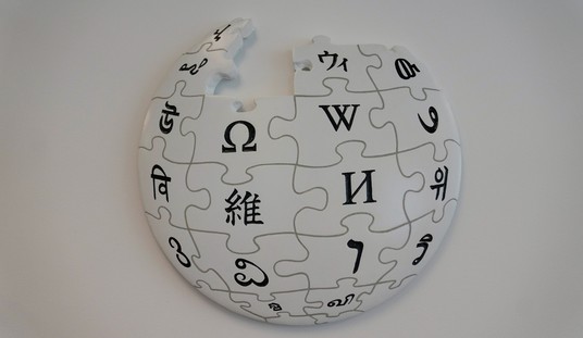 The DSA Civil War Being Fought on Wikipedia