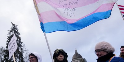 The Link Between Trans-Ideology and Violence