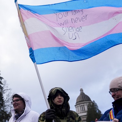 The Link Between Trans-Ideology and Violence