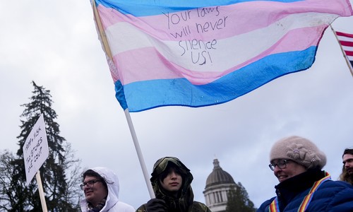 The Link Between Trans-Ideology and Violence