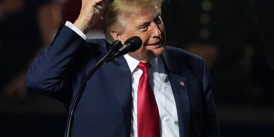 'The View' Suggests That Donald Trump Might Have Sexual Affinity for Animals