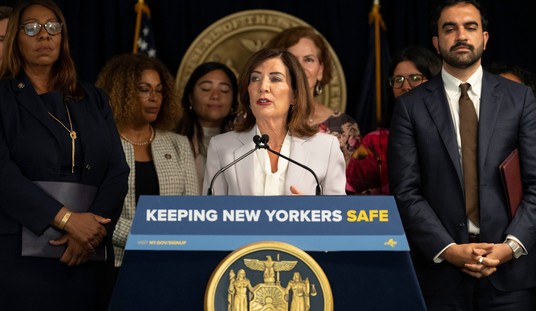 Hochul Said 'Bring It On.' The Sheriffs Filed in Federal Court.