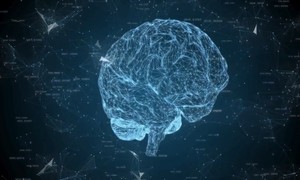The Incredible Design of Our Neurochemistry Drives Us Toward the Creator