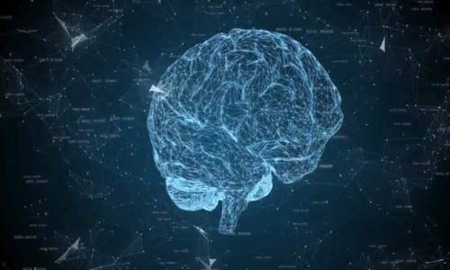 The Incredible Design of Our Neurochemistry Drives Us Toward the Creator