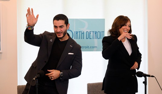 Yikes! RedSteeze Proposes the Two Questions El-Sayed Should Have to Answer