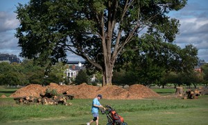 Trump Golf Course Battle Takes Another Turn As Judge Reyes Blocks Tree Removal, Calls Out DOJ