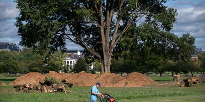 Trump Golf Course Battle Takes Another Turn As Judge Reyes Blocks Tree Removal, Calls Out DOJ