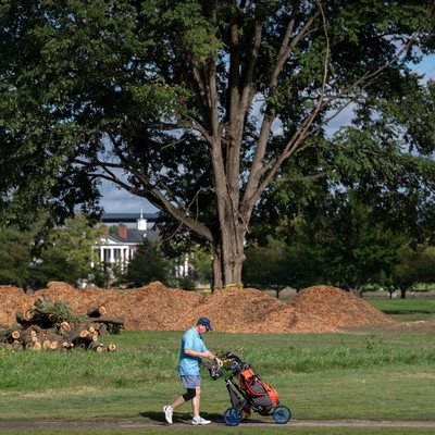 Trump Golf Course Battle Takes Another Turn As Judge Reyes Blocks Tree Removal, Calls Out DOJ