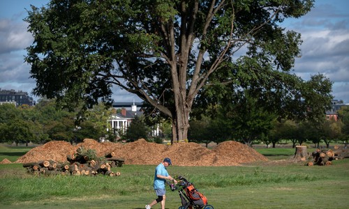 Trump Golf Course Battle Takes Another Turn As Judge Reyes Blocks Tree Removal, Calls Out DOJ