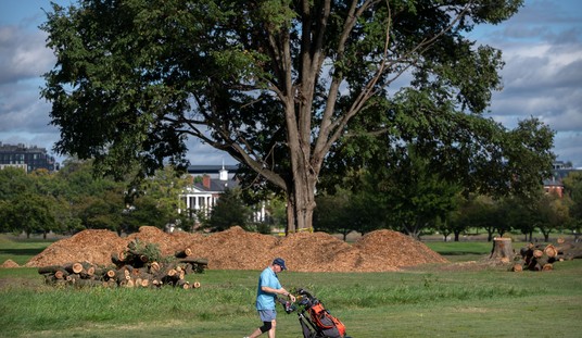 Trump Golf Course Battle Takes Another Turn As Judge Reyes Blocks Tree Removal, Calls Out DOJ