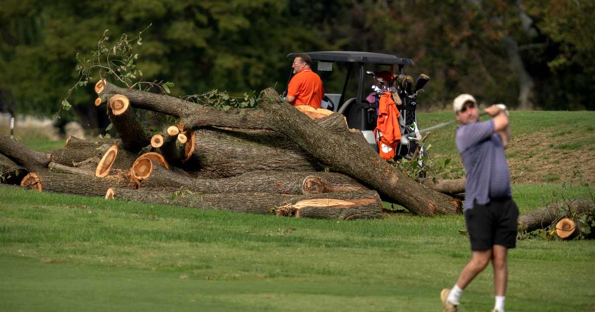 Well, That Escalated Quickly: DOJ Moves to Disqualify Judge in Trump's DC Golf Course Fight