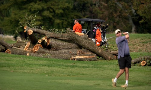 Well, That Escalated Quickly: DOJ Moves to Disqualify Judge in Trump's DC Golf Course Fight