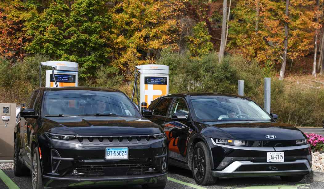 Government Subsidies Killed the EV Industry