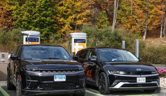 Government Subsidies Killed the EV Industry