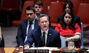 Cuba Makes a Scene at the United Nations