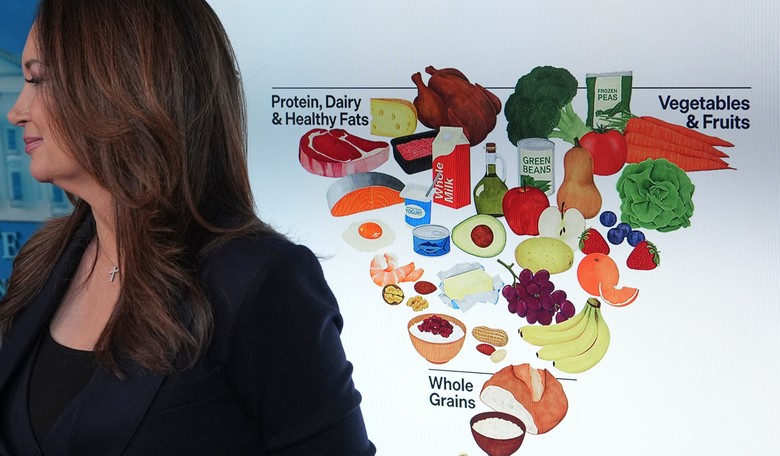 National SNAP Improper Payments Hit $10B in FY 2025