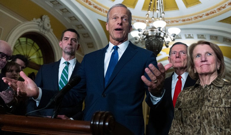 'We're Going to Find Out' Whether Thune Should Stay Majority Leader, Trump Says