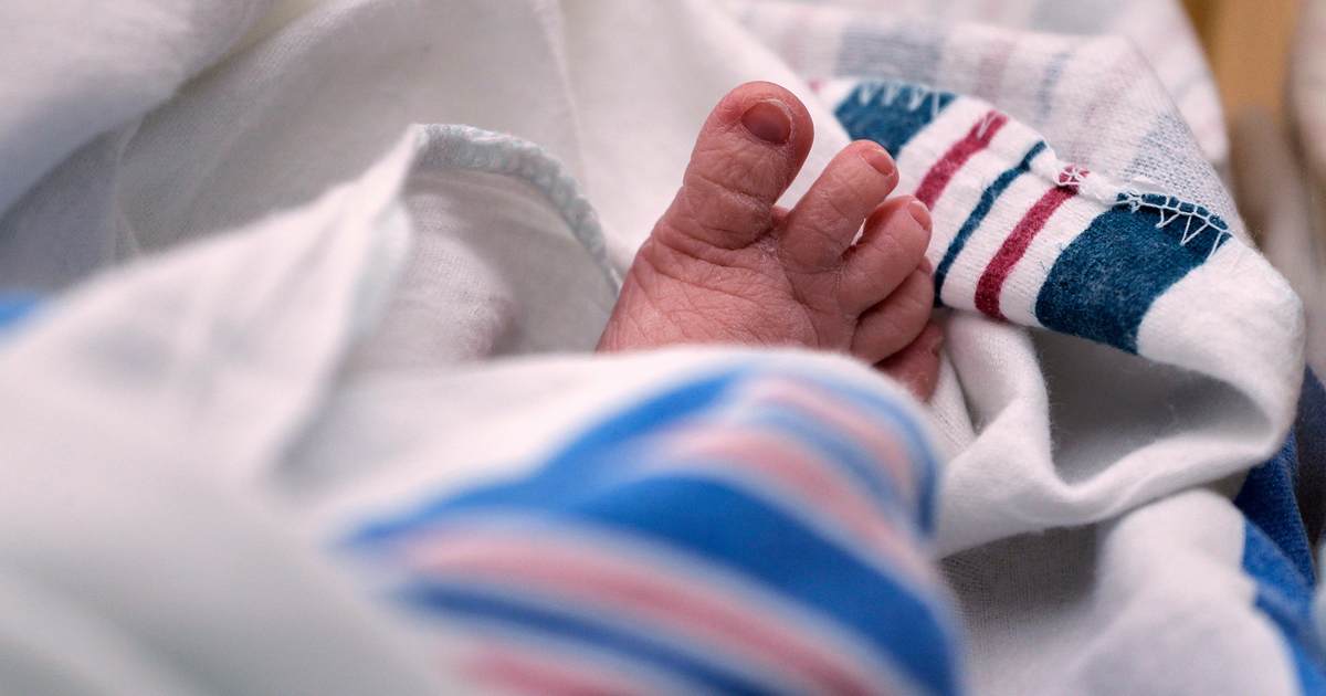 Every Child Has a Mother and Father. Pennsylvania to Pretend Otherwise.