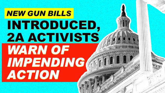New Gun Bills Introduced In House As 2A Activists Warn Of Impending ...