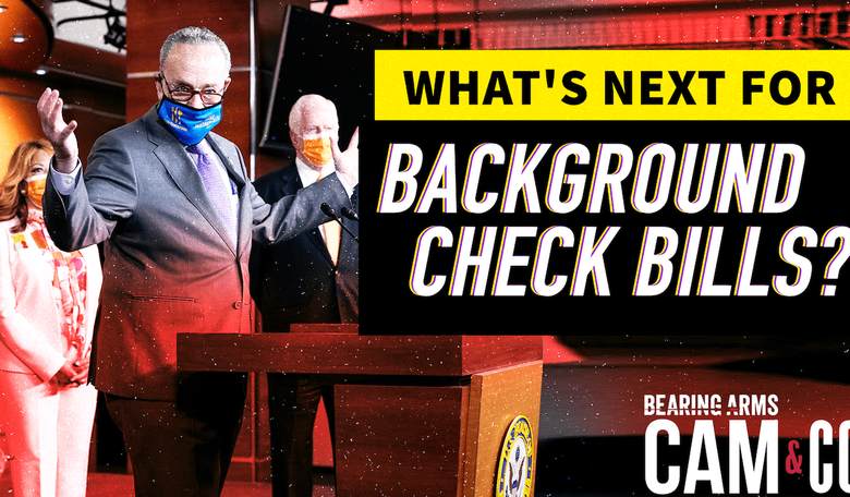 With House Passage, What's Next For Background Check Bills?