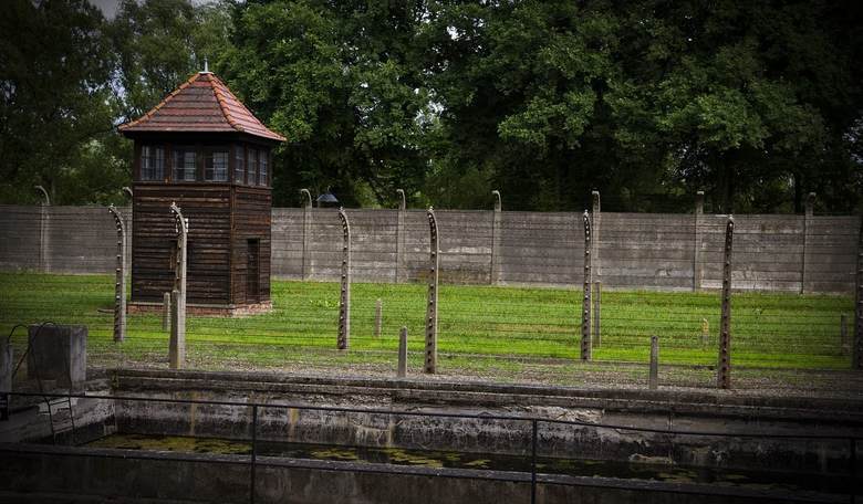 Yes, Gun Control Did Help Facilitate The Holocaust