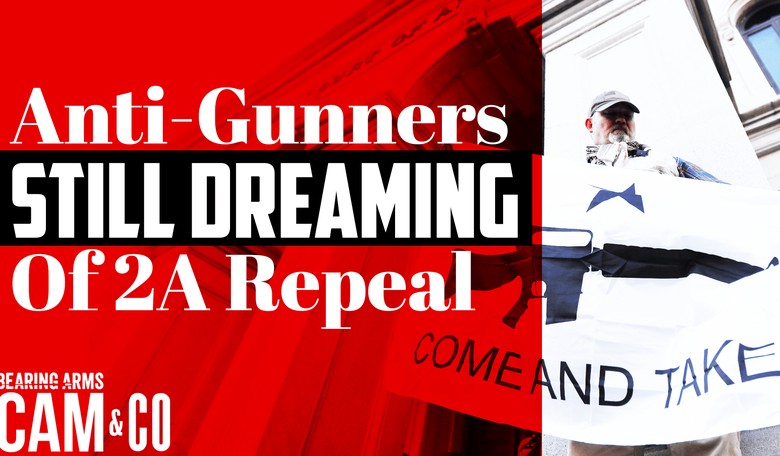 Anti-gunners still dreaming of Second Amendment's repeal