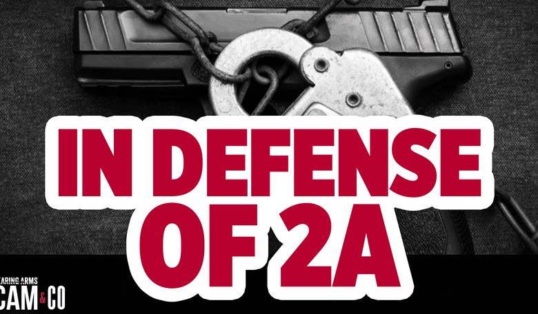 In Defense of the Second Amendment