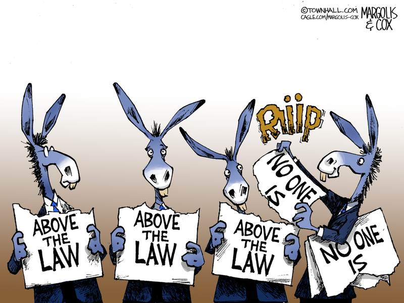 Margolis & Cox cartoon