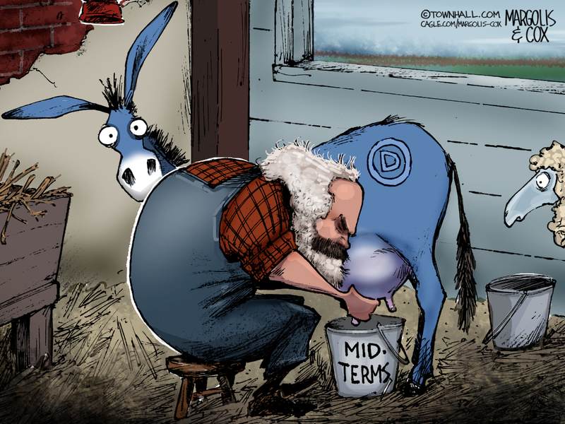 Margolis & Cox cartoon