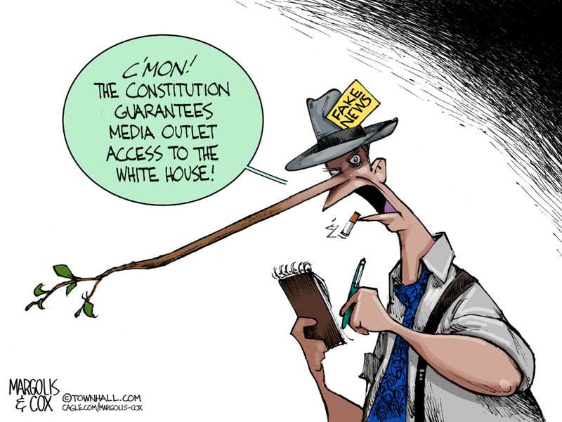 Margolis & Cox cartoon