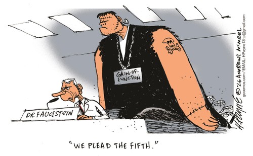 Henry Payne cartoon