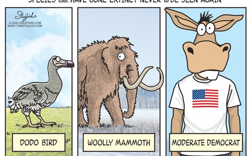 Tom Stiglich cartoon