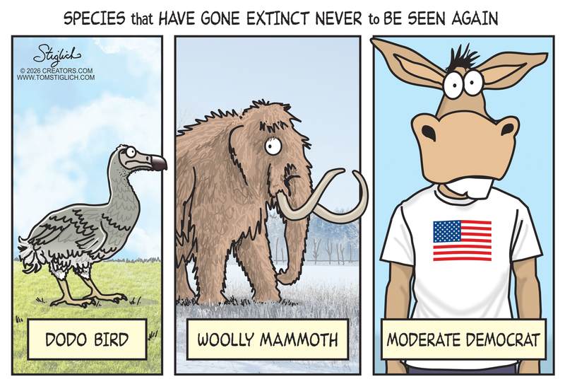 Tom Stiglich cartoon