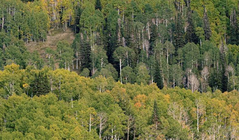 GHASTLY: Firefighters Ambushed in Coeur d'Alene UPDATE He's Dead