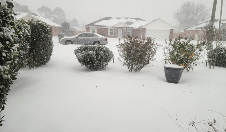 Dateline - Pensacola: Snowmaggedon