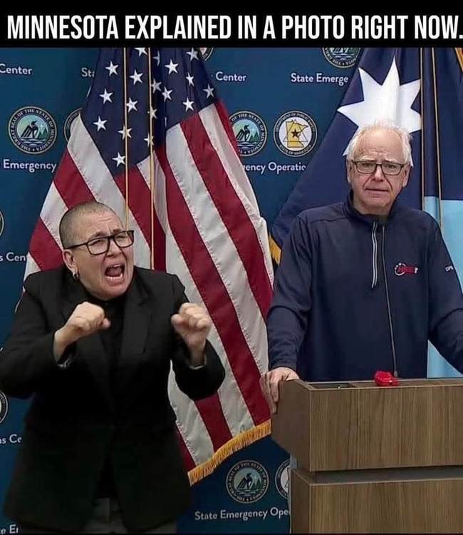 Explore two theories explaining Minnesota's recent political and fraud controversies amid ICE protests.