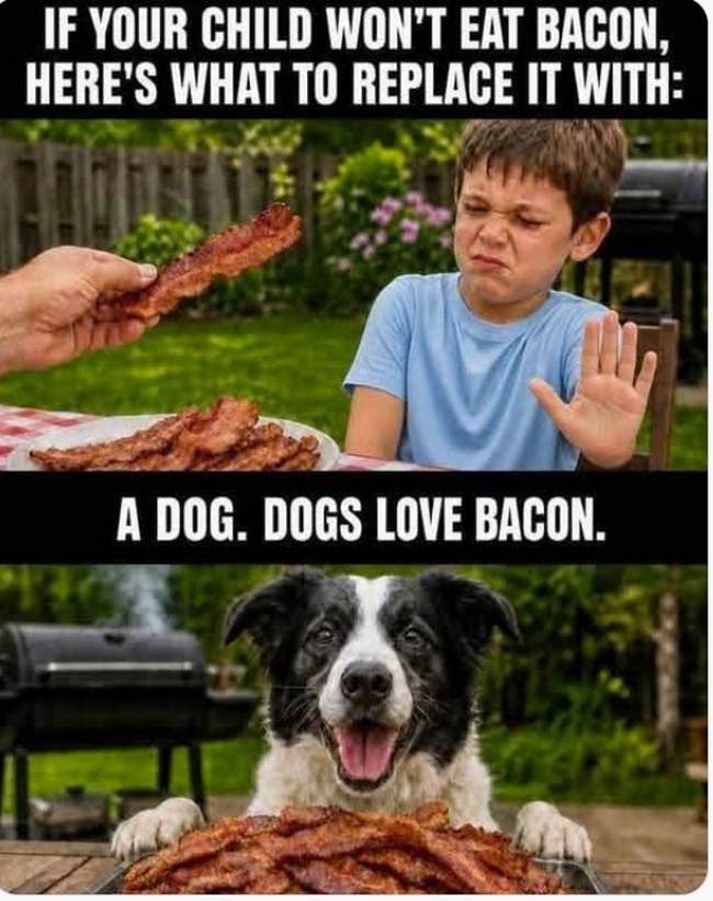 Bacon